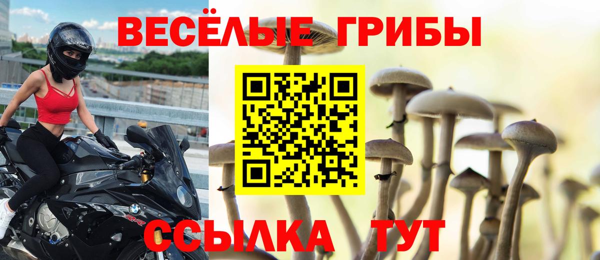 Псилоцибиновые грибы GOLDEN TEACHER  даркнет сайт  Гусь-Хрустальный  Вход с VPN 