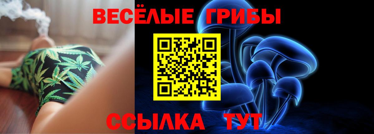 Галлюциногенные грибы мицелий Гусь-Хрустальный